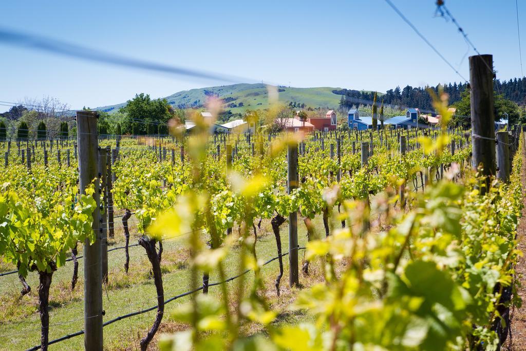 Margrain Vineyard Villas Martinborough Zewnętrze zdjęcie