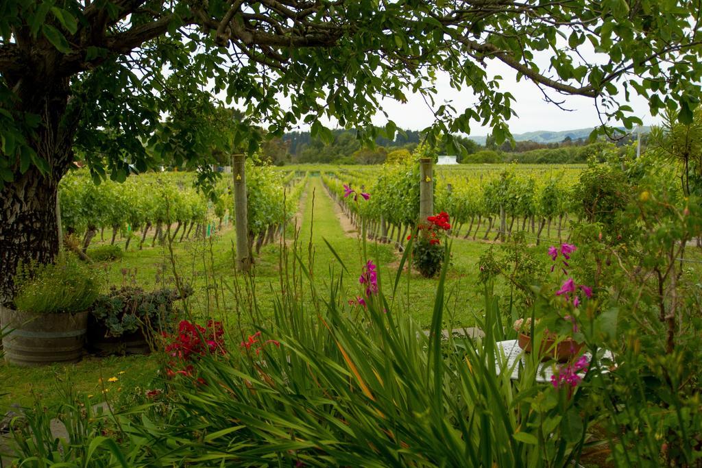 Margrain Vineyard Villas Martinborough Zewnętrze zdjęcie